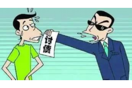 合规的催收公司：维护金融秩序的守护者