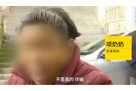 镇坪要钱公司排名：揭秘镇坪地区最具实力的企业